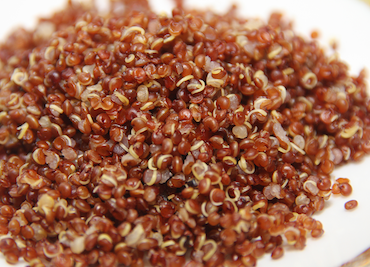 quinoa